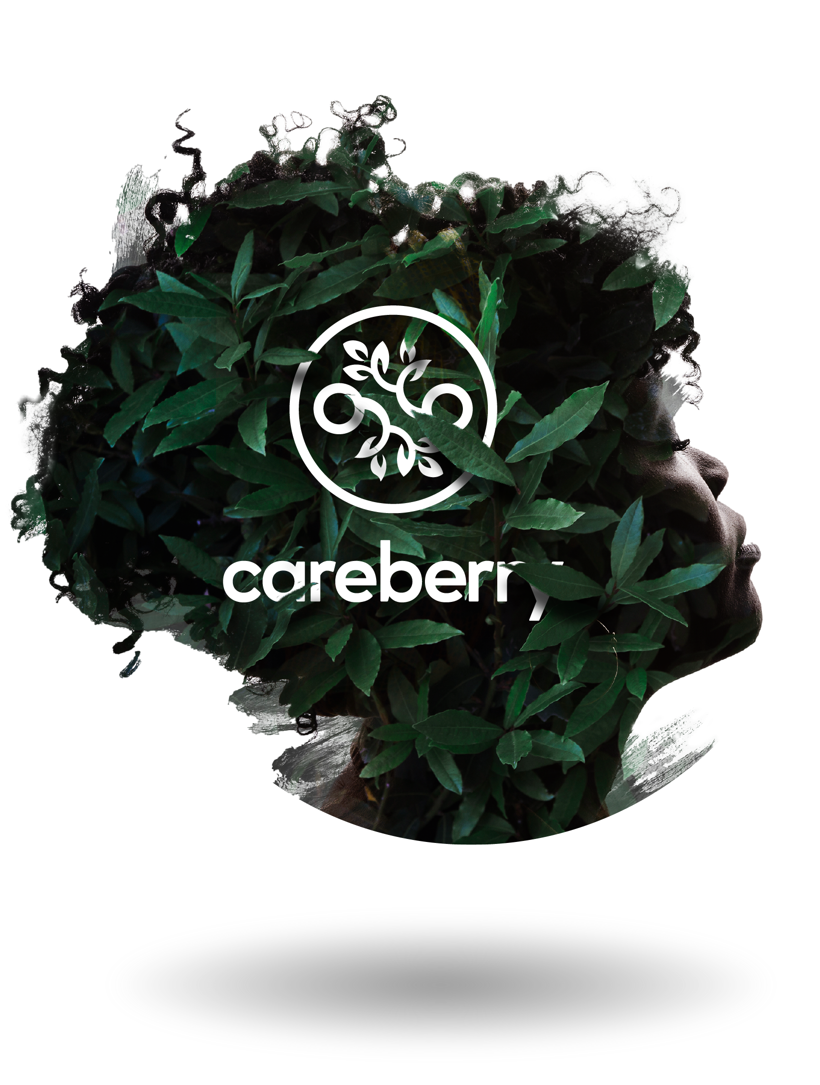 Careberry natural products