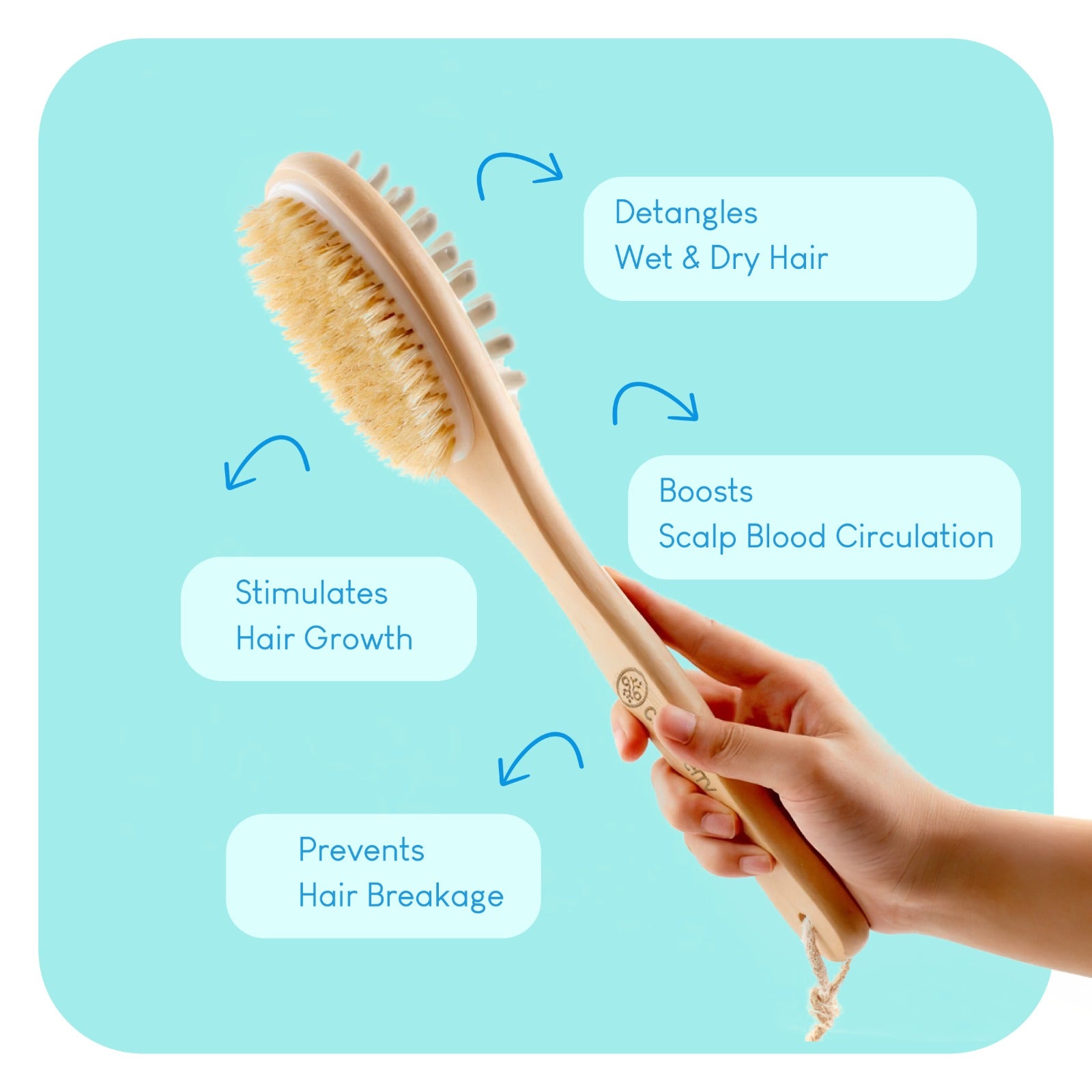 Careberry Body Brush & Bamboo Scalp Massager Combo